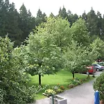Waldpension Jaegerstueberl 3*