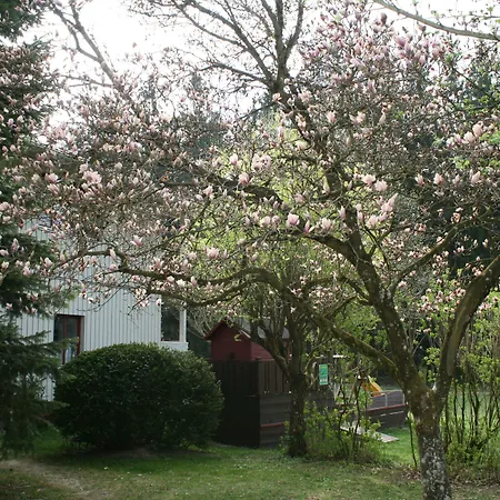 Waldpension Jaegerstueberl 3* باد جريسباخ